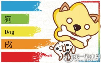 十二生肖星座情感深度解析:揭秘你的专属爱情图景