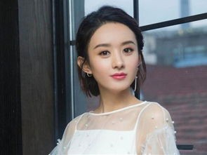 赵丽颖入围剧综人物_赵丽颖入围剧综人物，星光璀璨再启航