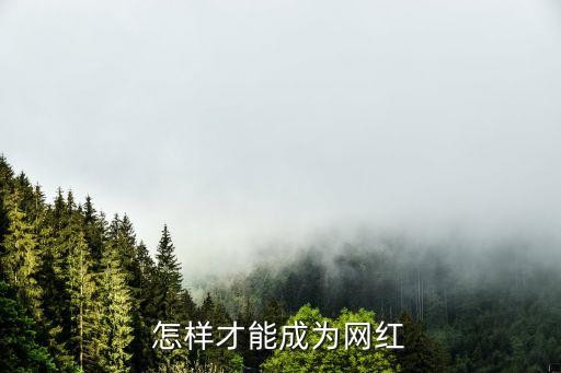 怎样才能成为网红