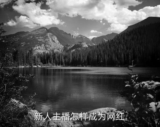 新人主播怎样成为网红