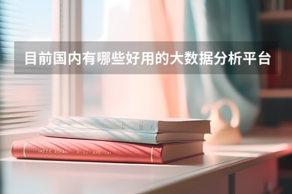 目前国内有哪些好用的大数据分析平台？