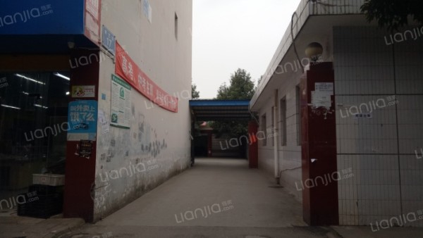 启明星一期房价怎么样？ 眉山启明星一期房源