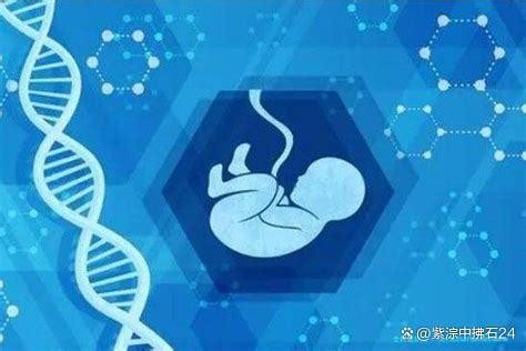 不羁穿搭女星如何玩转时尚舞台？