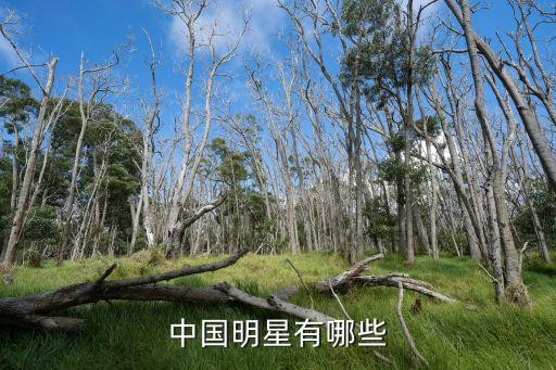 中国明星,走自己的音乐之路中国明星有哪些?