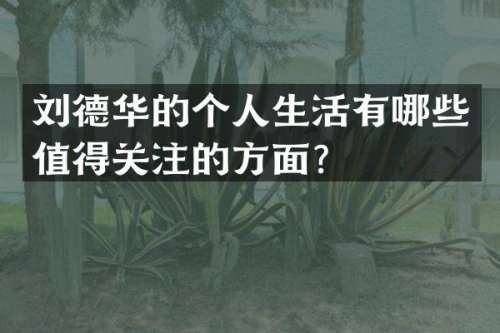 刘德华的个人生活有哪些值得关注的方面？