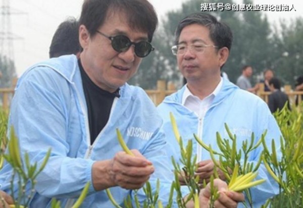 创意农业头条推荐丨明星到达扶贫一线的多重积极意义