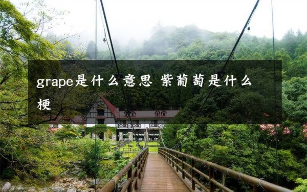grape是什么意思 紫葡萄是什么梗文章配图