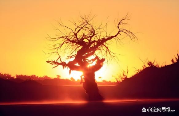 哲学名言与人生哲理20句，说透人性，道尽人生！