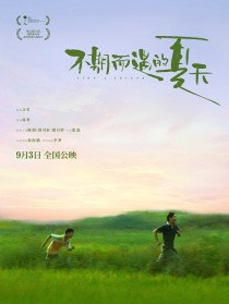 不期而遇的夏天