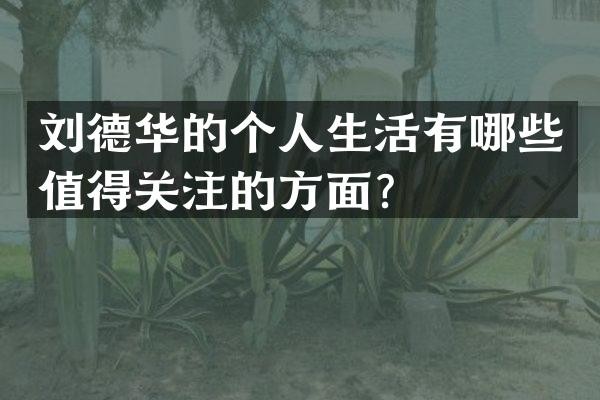 刘德华的个人生活有哪些值得关注的方面？