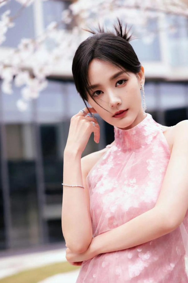 秋瓷炫，王宝强，陈晓，李一桐，张若昀