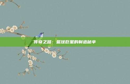 传奇之路:篮球巨星的制造秘辛