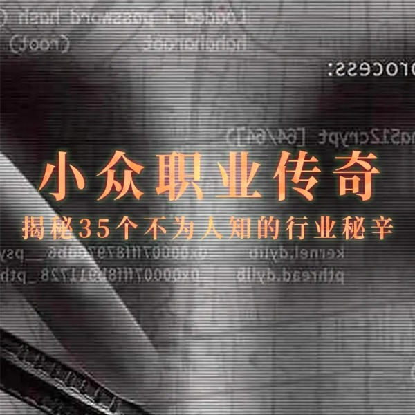 小众职业传奇