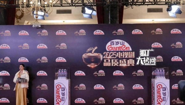 2025电视剧盛典红毯全记录：明星造型大赏谁最出圈