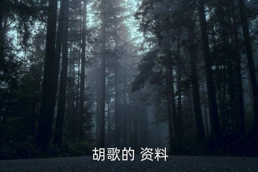 胡歌的 资料