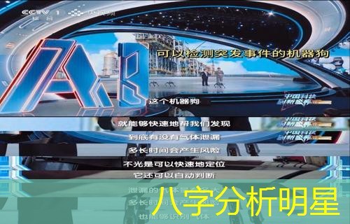  八字分析明星
