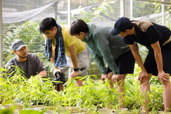 42岁胡歌，突传新消息！