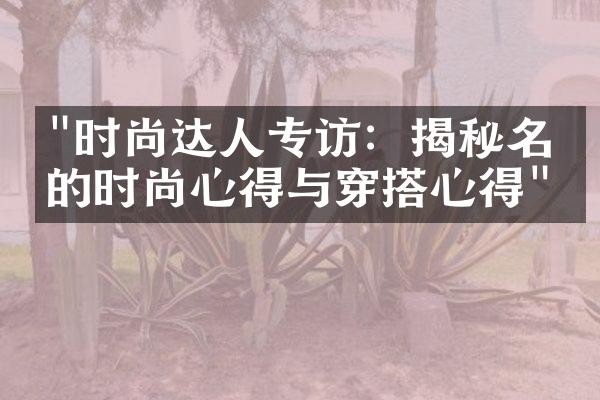 “时尚达人专访：揭秘名人的时尚心得与穿搭心得”