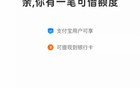 淘宝APP上线借钱服务“随身贷”，与借呗、花呗等额度独立计算