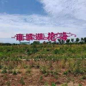 陕西凤掌门的创业人生 头像