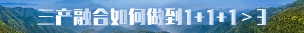 农村三产融合