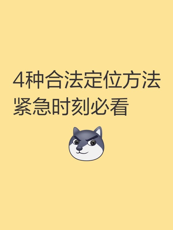 王丽坤合作类型全解析，品牌方必看