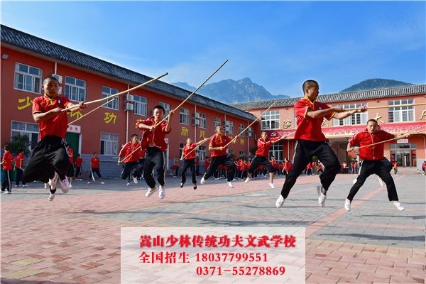 河南塔沟武校培养出的明星学子招生简章：2024版概览