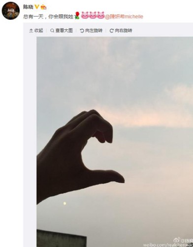 陈晓微博截图