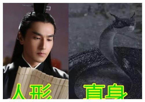人形VS真身,夜华酷似小黑蛇,润玉应龙,范闲:这不是科幻剧吗
