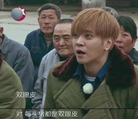 罗志祥“猪都是双眼皮”上热搜 极限挑战11个字神回复引发热议