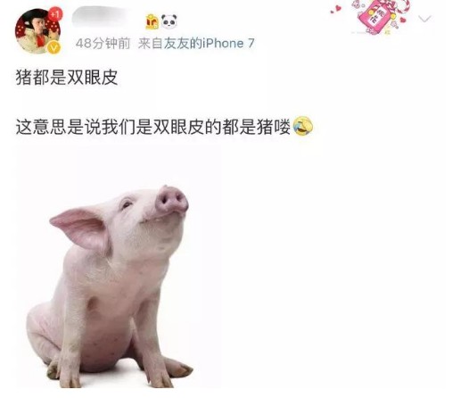 罗志祥“猪都是双眼皮”上热搜 极限挑战11个字神回复引发热议