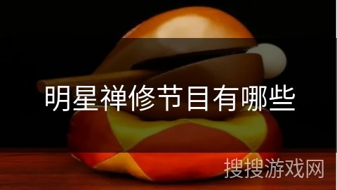 明星禅修节目有哪些