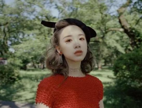 网红真那么美吗？参加一次节目就知道了，网友：网红和明星有壁
