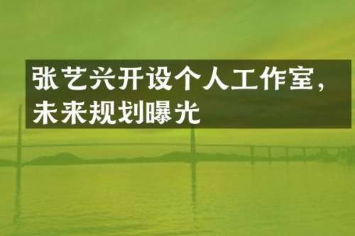 张艺兴开设个人工作室，未来规划曝光