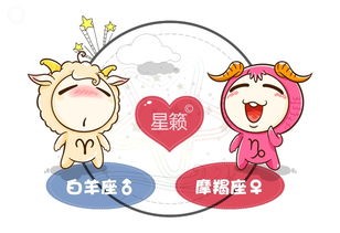 星座配对打分,探寻爱情匹配度的神秘法则