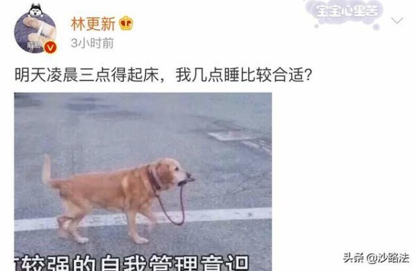 沙雕大龄男明星林更新，演戏生活两不耽误