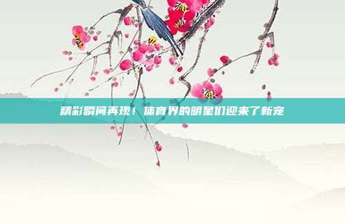 精彩瞬间再现!体育界的明星们迎来了新宠