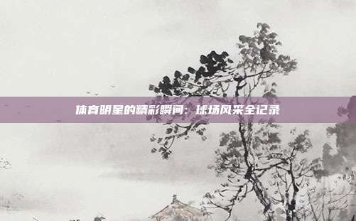体育明星的精彩瞬间: 球场风采全记录