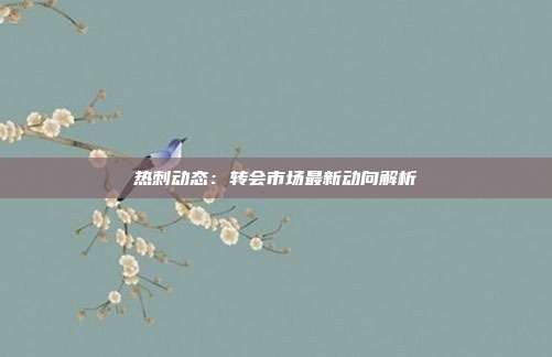 热刺动态：转会市场最新动向解析