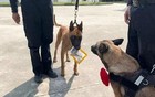 退休刚满1年，“缉毒英雄”突传去世...
