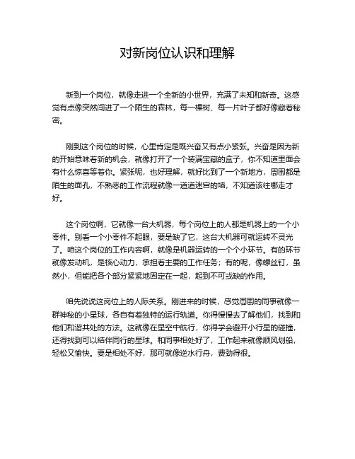 对新岗位认识和理解