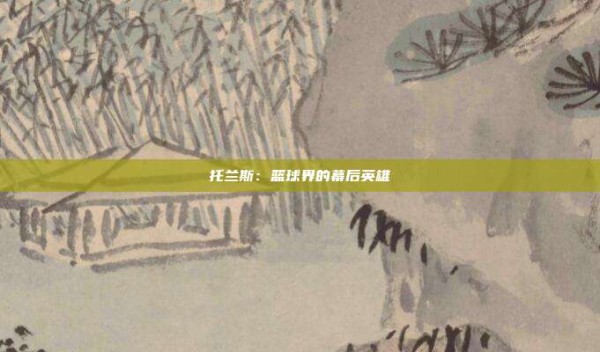 托兰斯:篮球界的幕后英雄