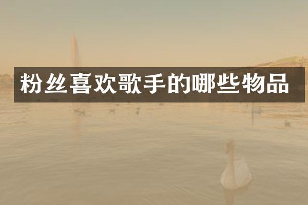 粉丝喜欢歌手的哪些物品