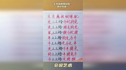 免费测姻缘:生肖星座匹配秘籍,揭秘你的命中注定!