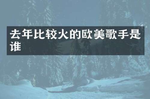 去年比较火的欧美歌手是谁