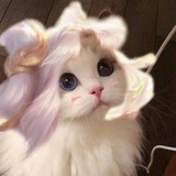 梨花若雪