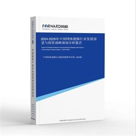 2025-2030年中国网络视频行业发展前景与投资战略规划分析报告