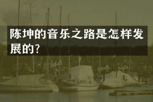陈坤的音乐之路是怎样发展的？