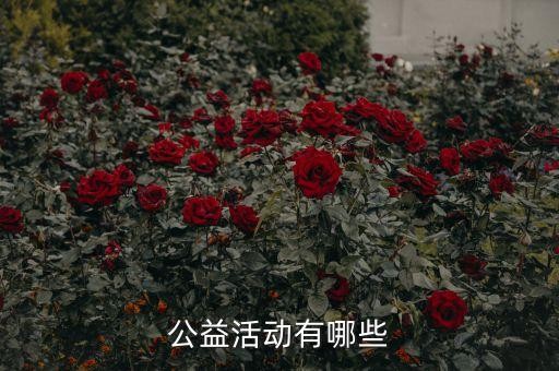 公益活动有哪些