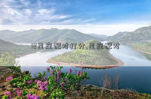 12星座配对打分,星座配对